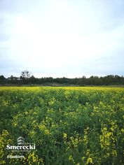 Widokowa działka budowlana w Turowoli- Kolonia