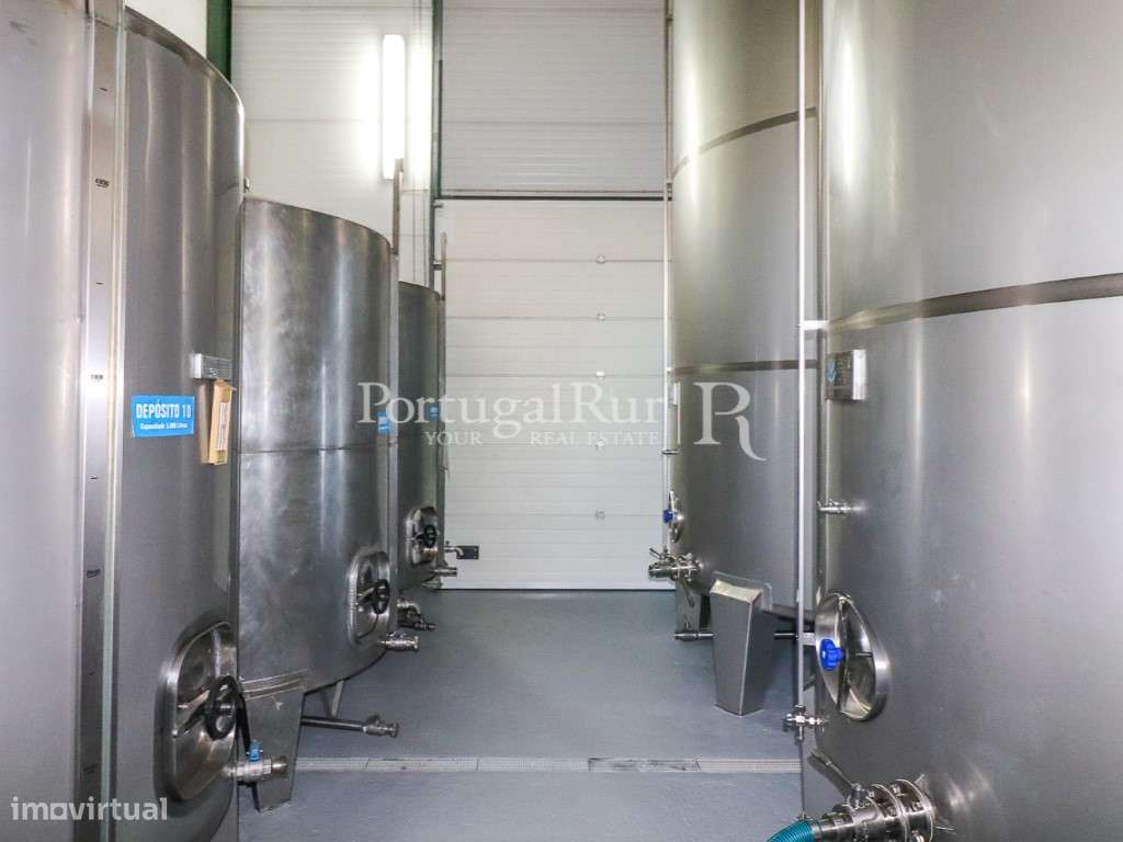 Unidade Industrial de Produção de Azeite & Elevado Potencial Produtivo-38