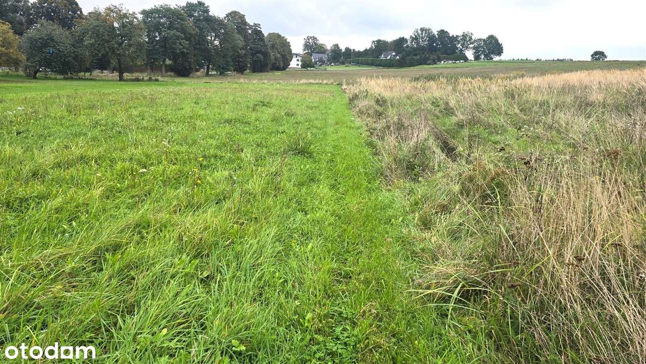 Super działka w Chwałęcicach - Pełny obrazek: 5/5