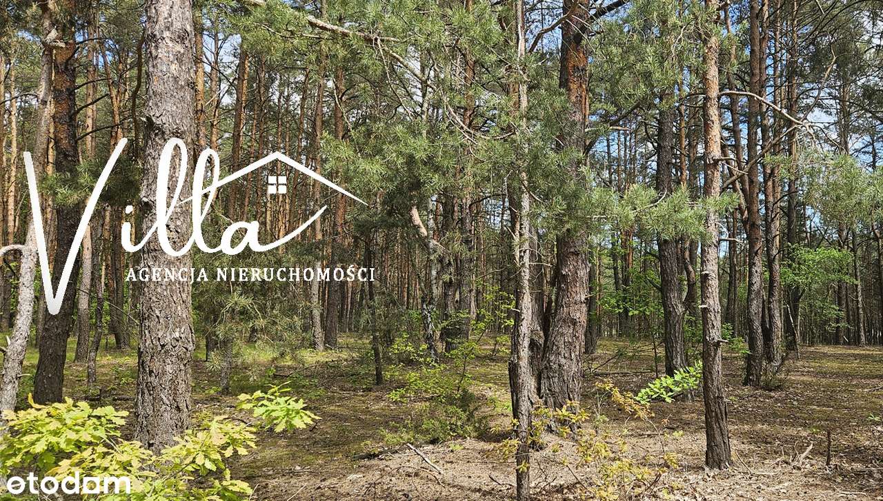 EKSKLUZYWNA DZIAŁKA DLA NAJBARDZIEJ WYMAGAJĄCYCH-0