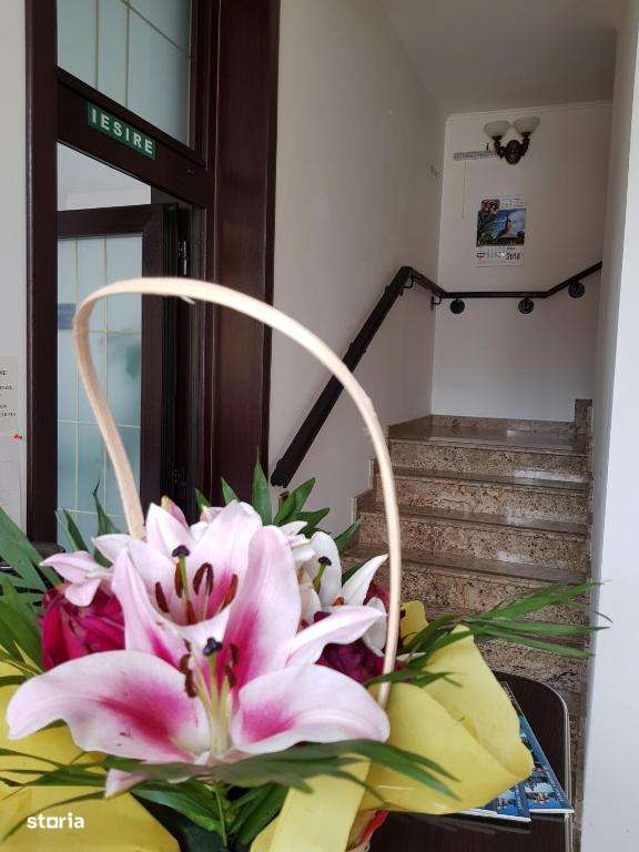 Oportunitate investitie! Ultracentral in orasul turistic Sinaia - Imagine principală: 4/20