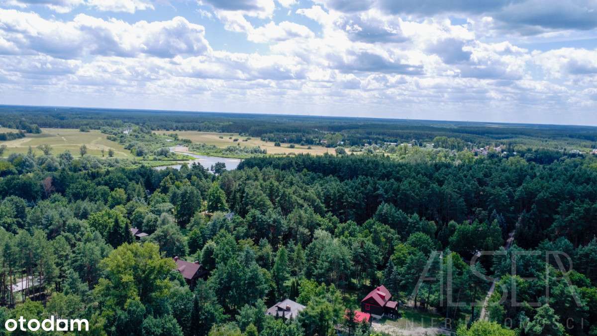 Ładna, zalesiona działka pod zabudowę rekreacyjną - Pełny obrazek: 5/14