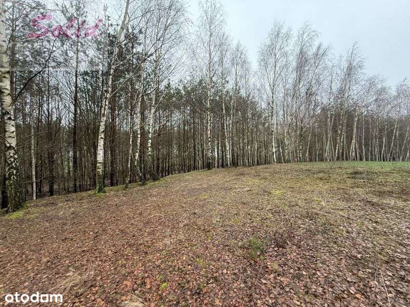 Atrakcyjna działka z warunkami zabudowy w spokojnej okolicy - Pełny obrazek: 5/11