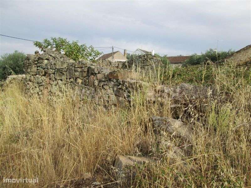 Terreno com ruina / Covilhã, Peraboa - Grande imagem: 5/13
