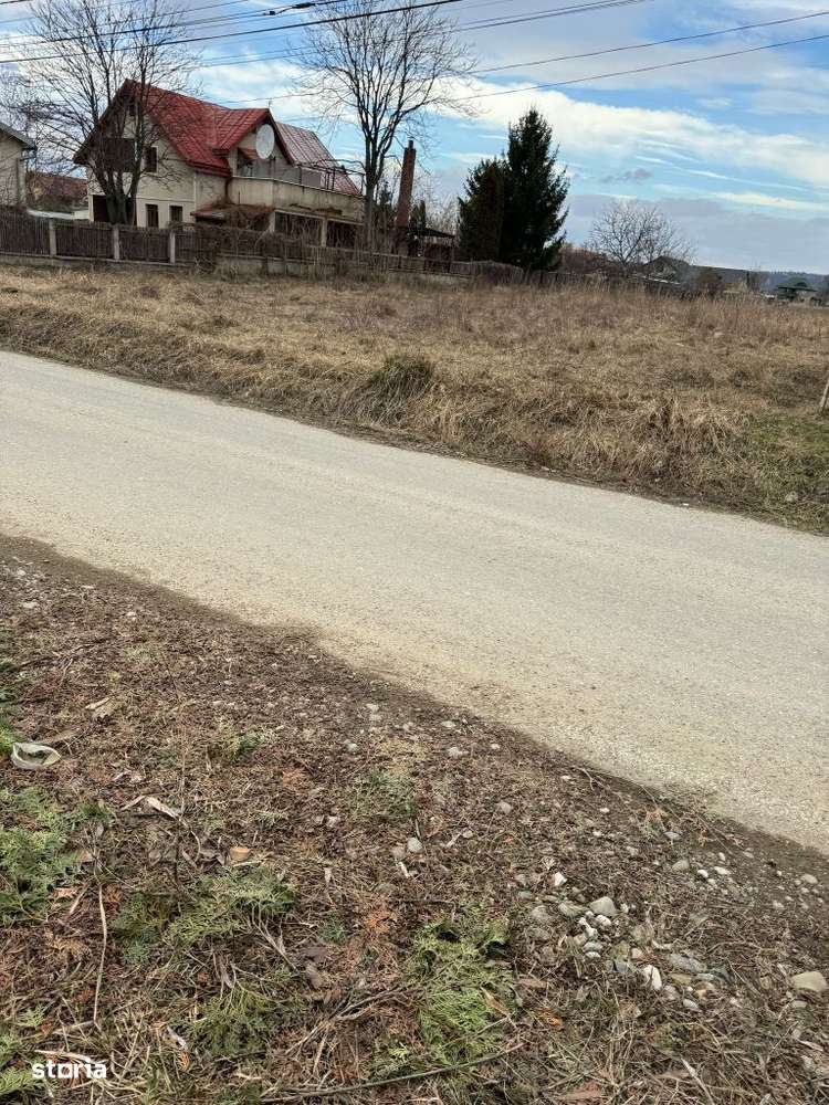 Vand teren intravilan Aleea Coleneilor Comuna Hemeiusi - Imagine principală: 2/13