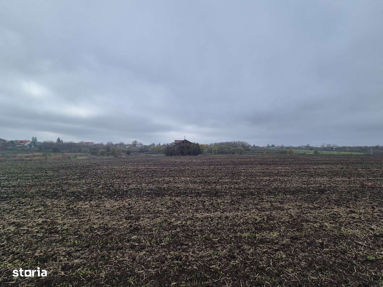 Teren intravilan 45km Bucuresti, Pasarea-Frumusani, jud Calarasi-1