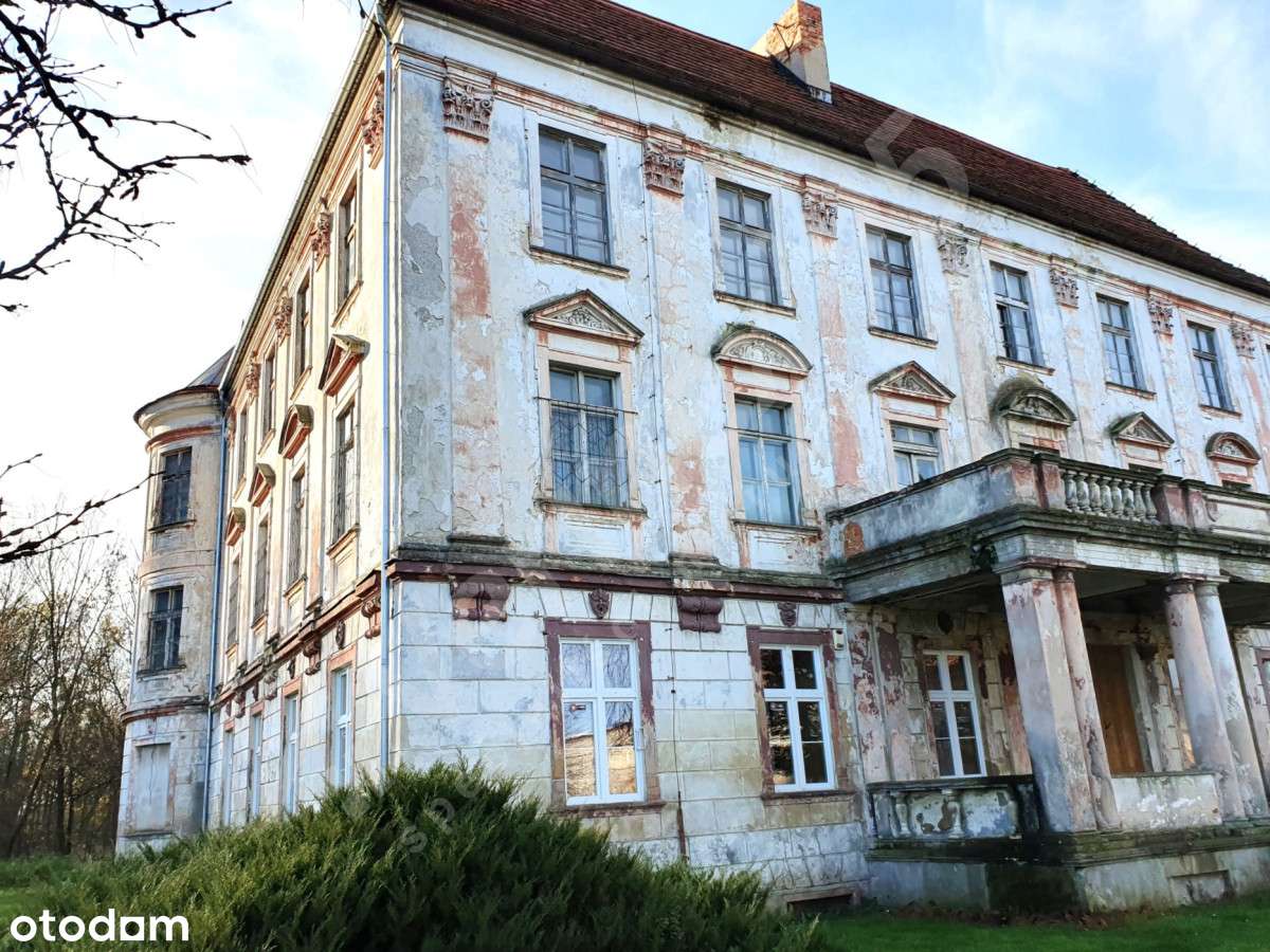 Zespół pałacowy(21ha) _ z DUŻYM terenem pod bud. mieszkaniowe(MPZP)-10