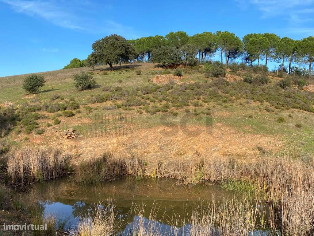 QUINTA T4, SERPA com uma vista fantástica , com duas barragens ...-40