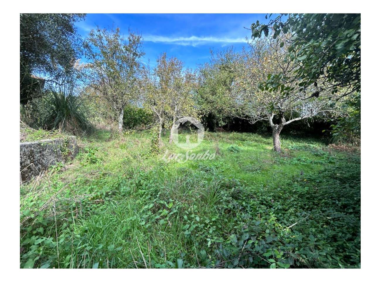 Quinta com 9.000m2, em Fradelos, Vila Nova de Famalicão! - Grande imagem: 4/28