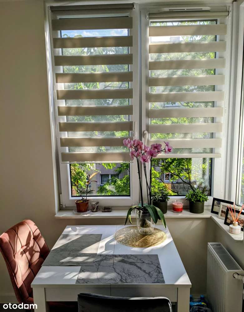 BEZPOŚREDNIO, centrum(Pl. Dominikański) 1 pokój + osobna kuchnia 36m² - Pełny obrazek: 5/10