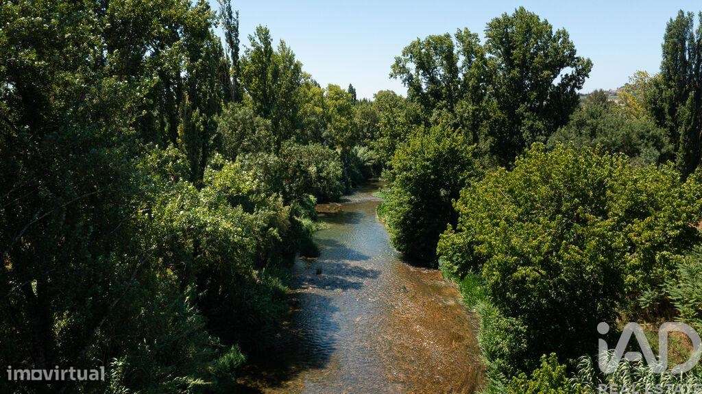 Casa / Villa T4 em Tomar (São João Baptista) e Santa Maria dos Olivais - Grande imagem: 5/30