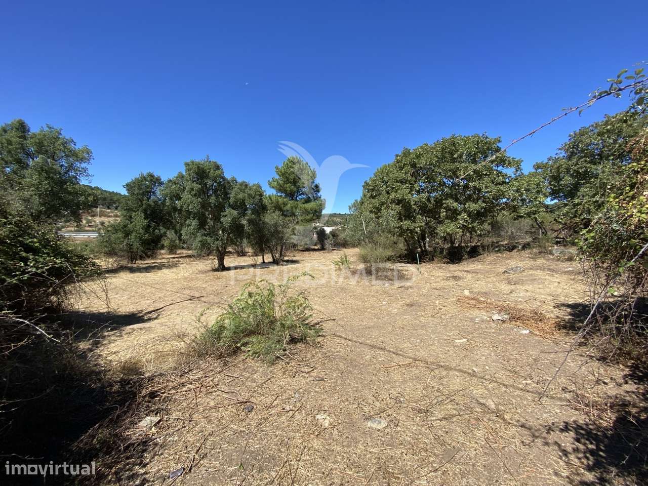Terreno Urbano com 5000mts2, em Portalegre - Grande imagem: 4/29