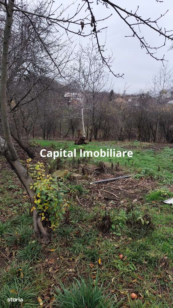 Casa Baicoi caramida 135 mp-12