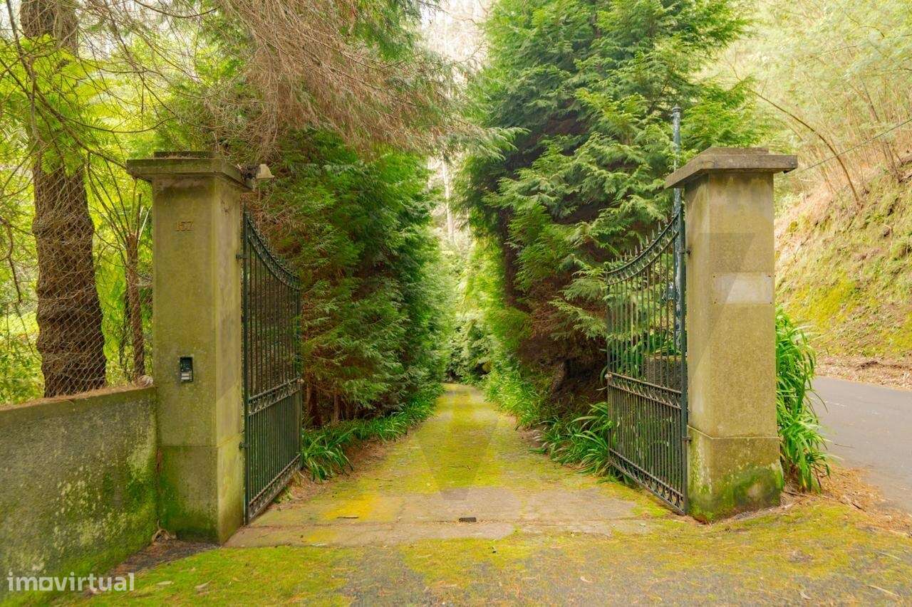 Quinta da Choupana - Um Legado Verde no Coração do Funchal - Grande imagem: 5/32