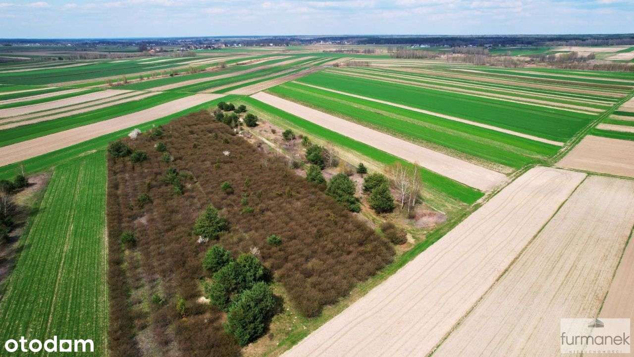 Działki rolne i leśne o powierzchni 1,13 ha - Pełny obrazek: 3/19