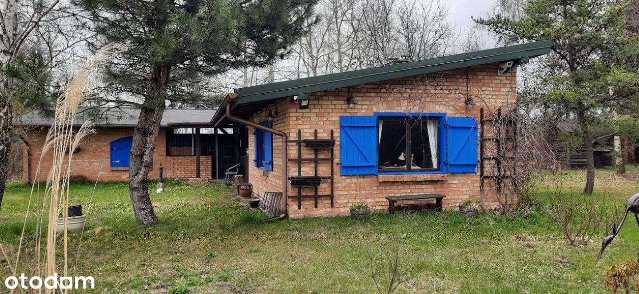 Piękna działka siedliskowa z budynkami.-18