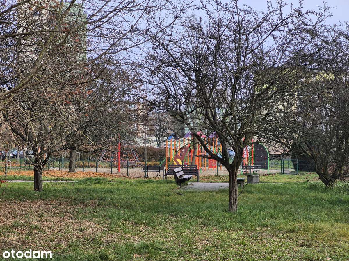 Mieszkanie z widokiem na park na os. Błonie-10