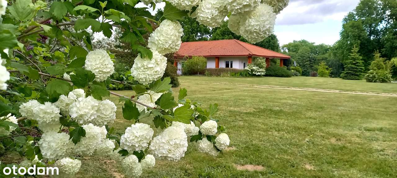 Garbicz - działka 5251 m² z budynkiem mieszkalnym nad jeziorem-5