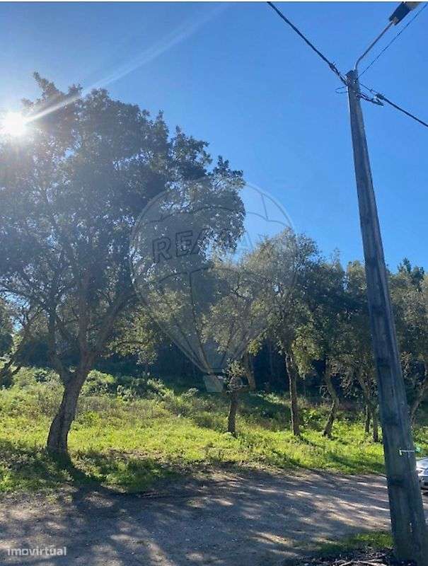 Terreno  para venda - Grande imagem: 5/5