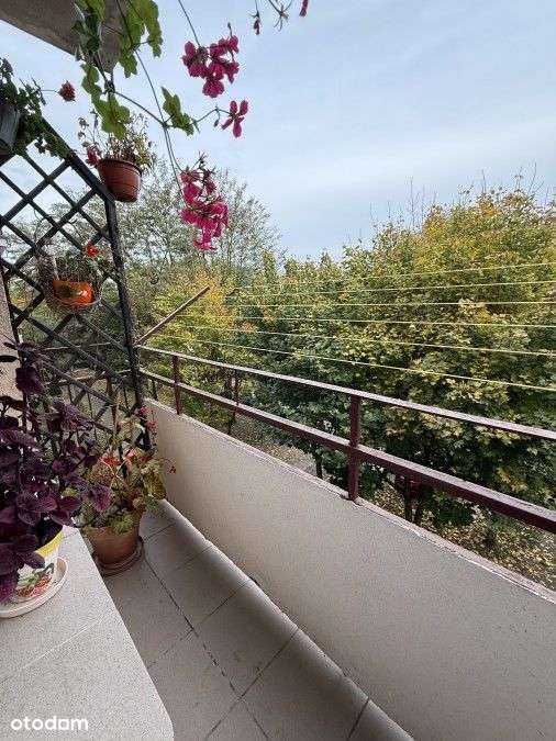 Kawalerka z balkonem - os.Lotnisko-5