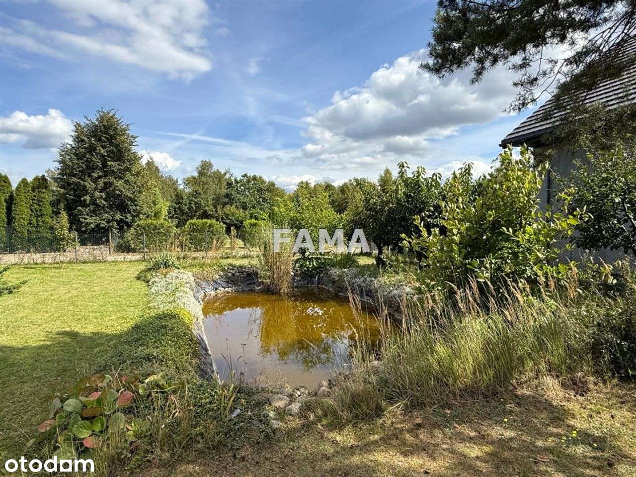 Działka 1000 mkw, budowlana, zagospodarowana - Pełny obrazek: 2/4