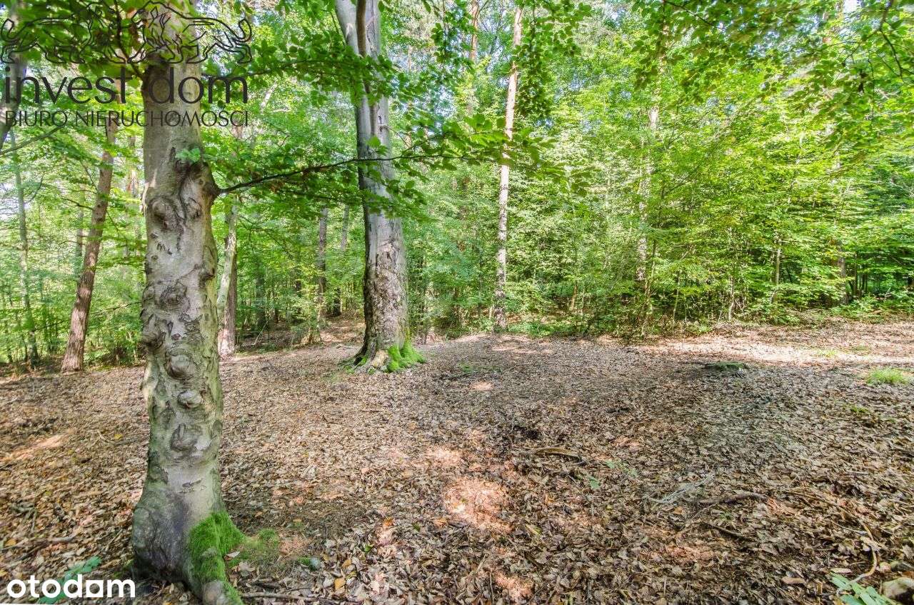 ..wymarzona działka w Ropicy Polskiej !!!-8