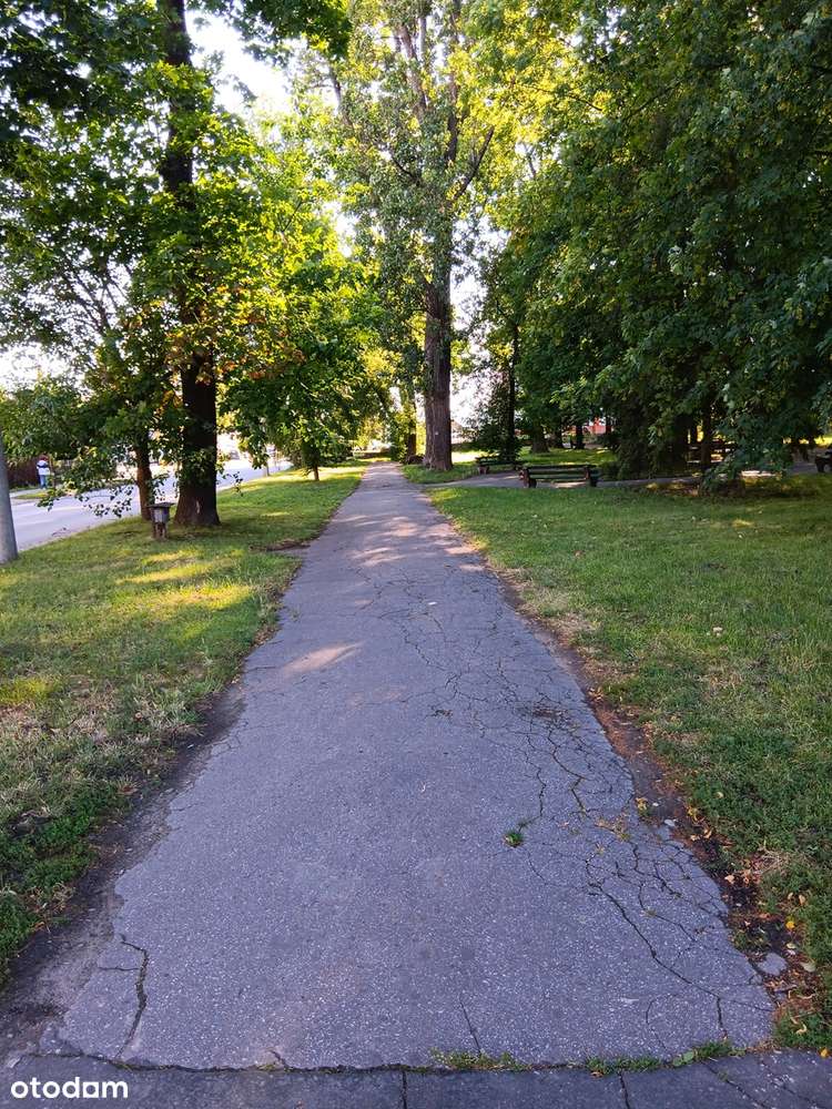 Park przy ul. Kolejowej w Nowym Sączu - Pełny obrazek: 5/19