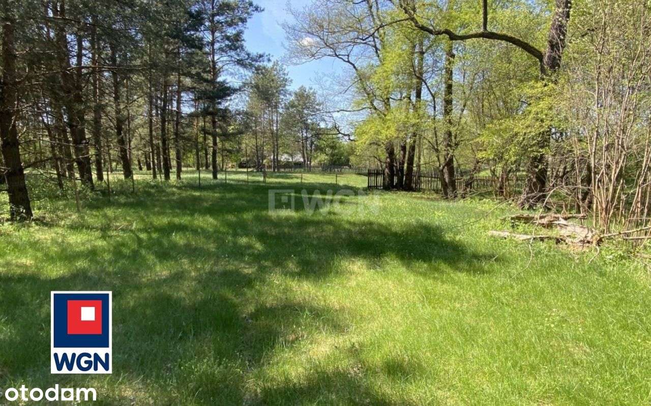 Atrakcyjna działka na rzeką Wilga. - Pełny obrazek: 5/20