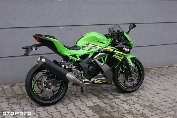 Kawasaki Ninja - 4