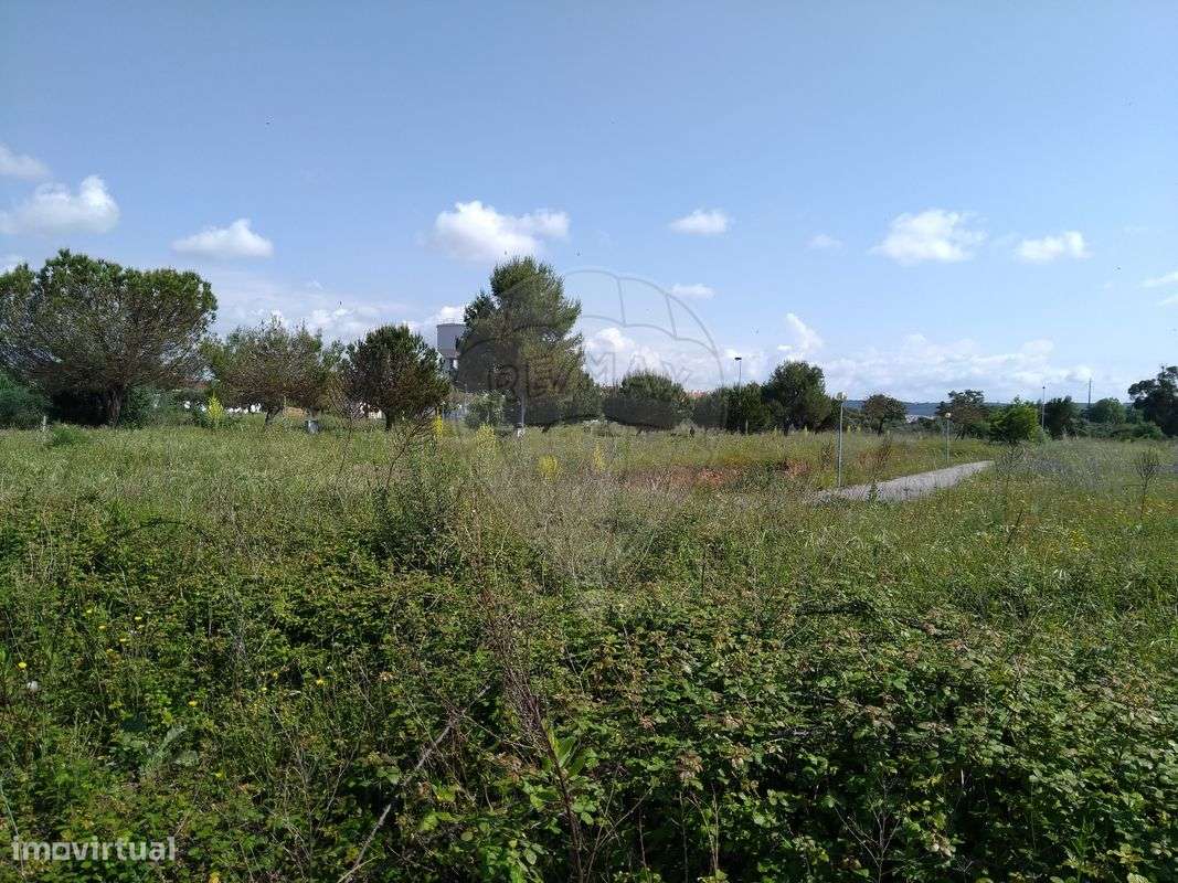 Terreno  para venda - Grande imagem: 5/15