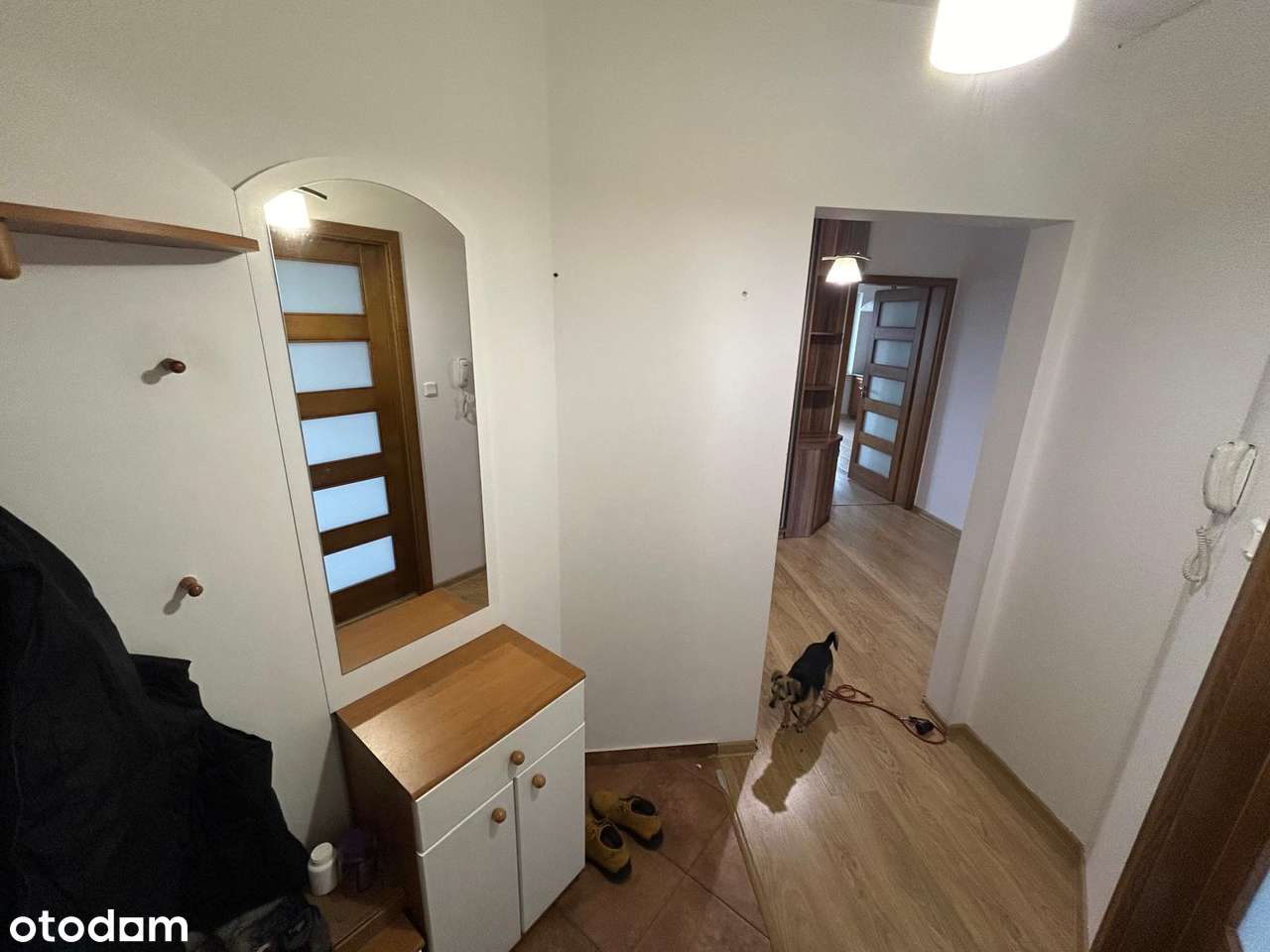 Słoneczne 3 pokojowe mieszkanie, Jabłonna koło W-wy, Rajska Jabłoń - Pełny obrazek: 4/12