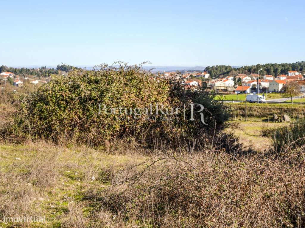 Quinta de 25.000m2 para construção de até 5.000m2 - Grande imagem: 5/21