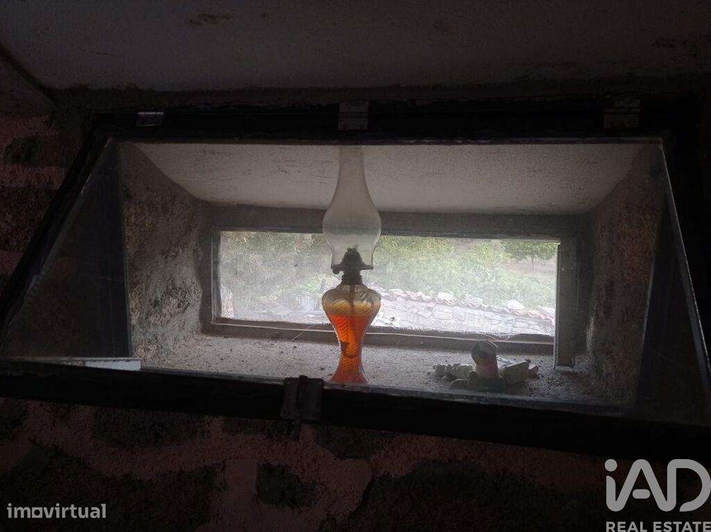 Terreno Agrícola em Sendim-13