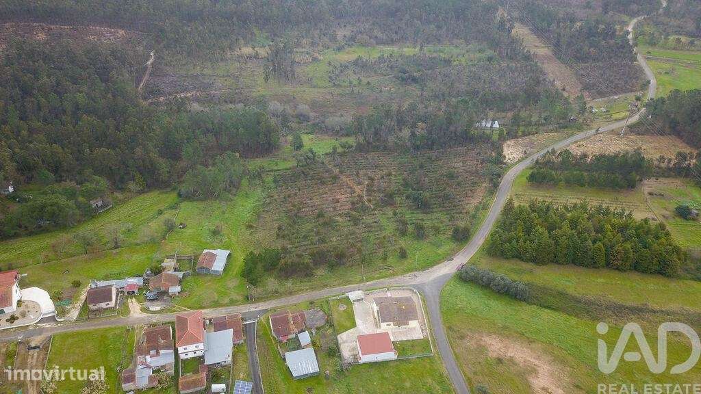 Terreno Agrícola em Soure de 12000,00 m2 - Grande imagem: 5/15