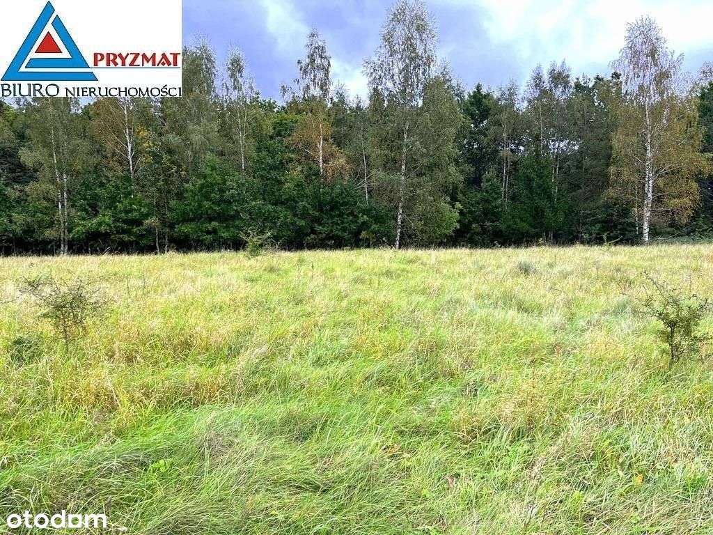 Kolonia Maruny - Działki Do Sprzedaży!-4