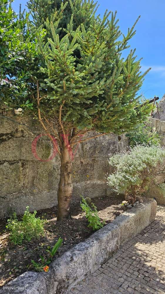 Vende-se Quintinha com moradia T4, a 2 minutos da circunvalação, junto-27