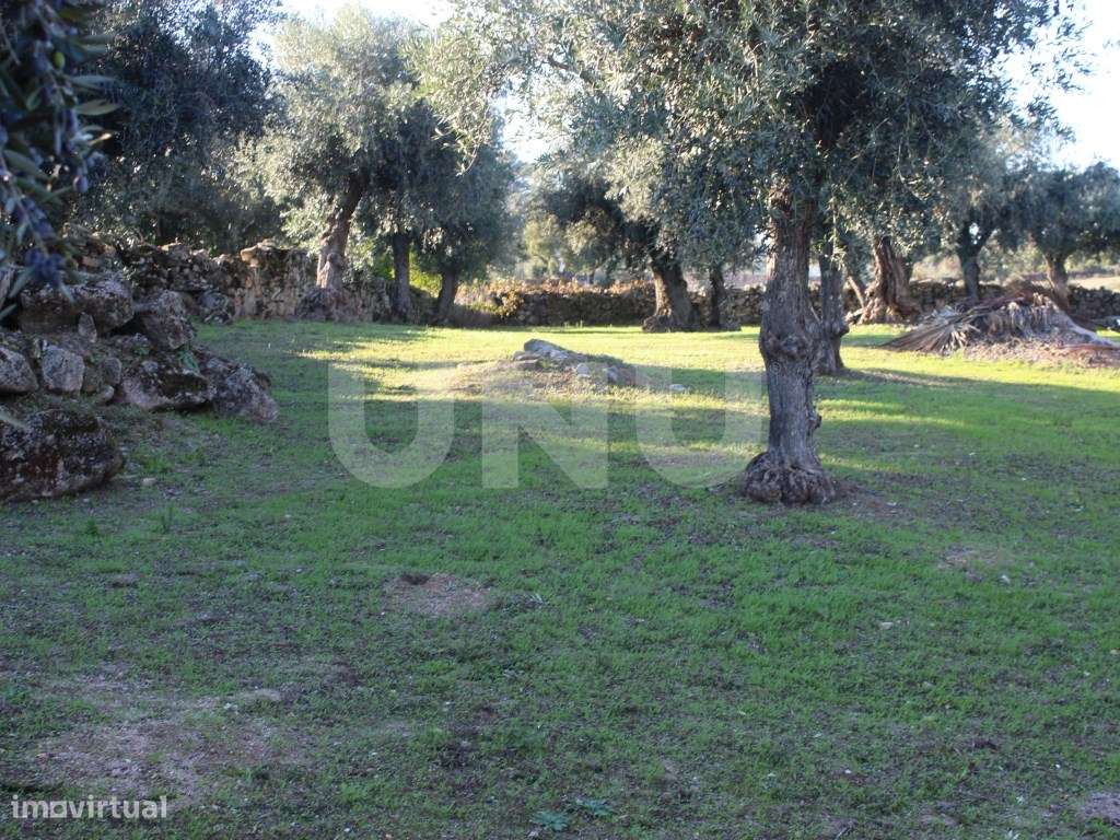 Terreno Urbano com 850m2 de área-6