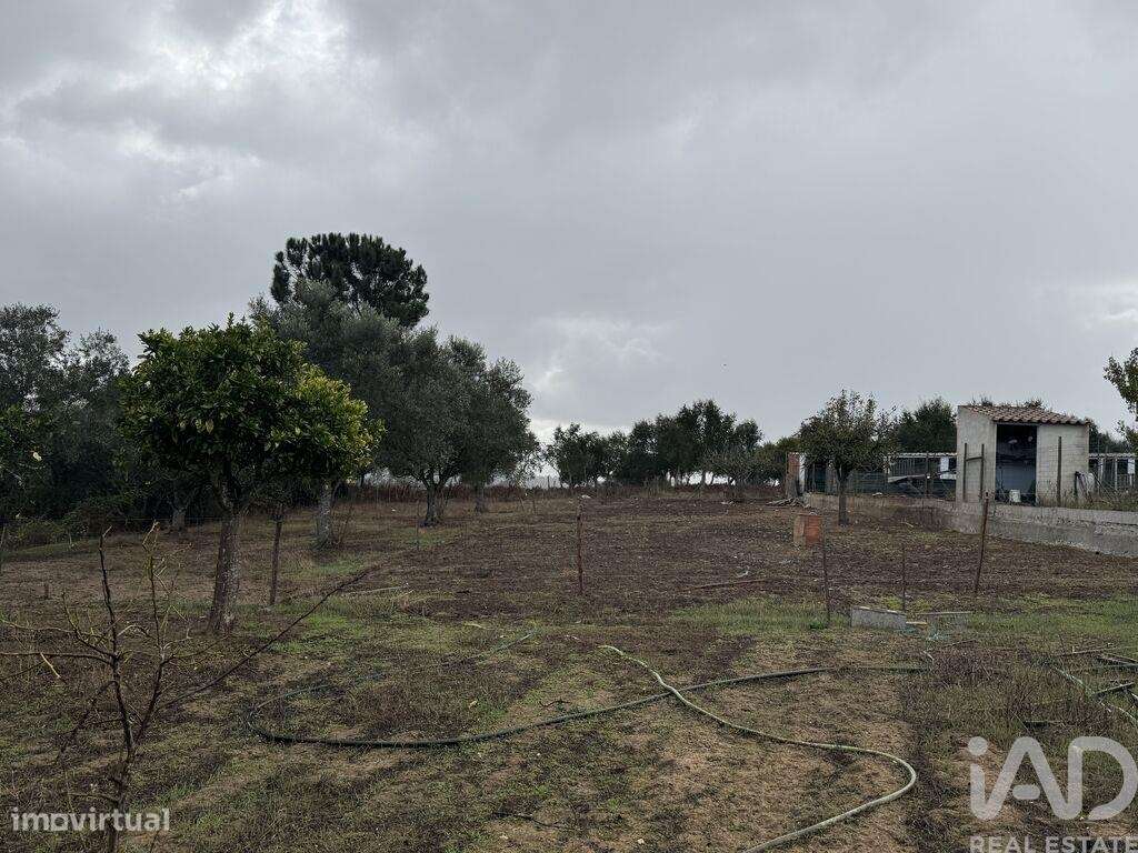 Casa rústica T1 em São Salvador e Santa Maria de 48 m2 - Grande imagem: 4/16