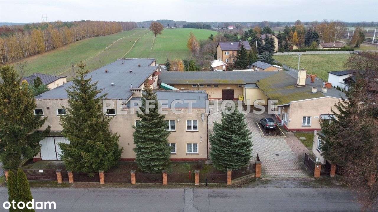 Obiekt Produkcyjno-Magazynowy Chmielnik Gm. Kramsk - Pełny obrazek: 5/20