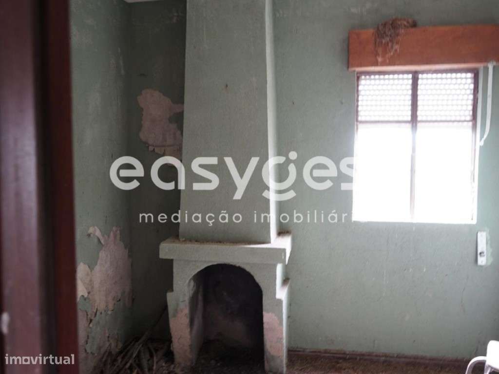 Quintinha com aproximadamente 4000 m2 em Gonçalo, Guarda - Grande imagem: 5/28