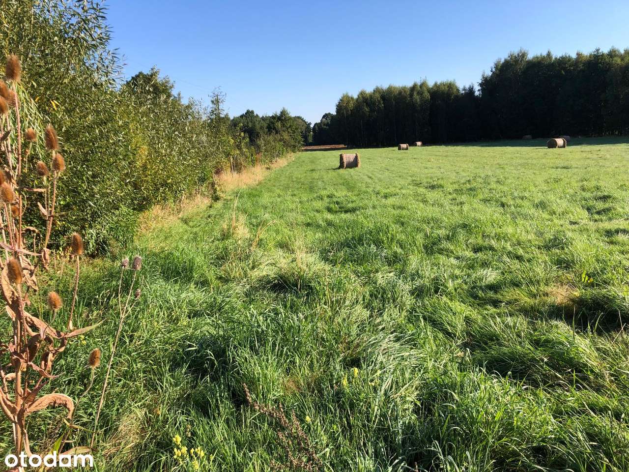 Działka z pieknym widokiem na góry Izerskie  9300 m²  Świeradów Zdrój - Pełny obrazek: 4/7