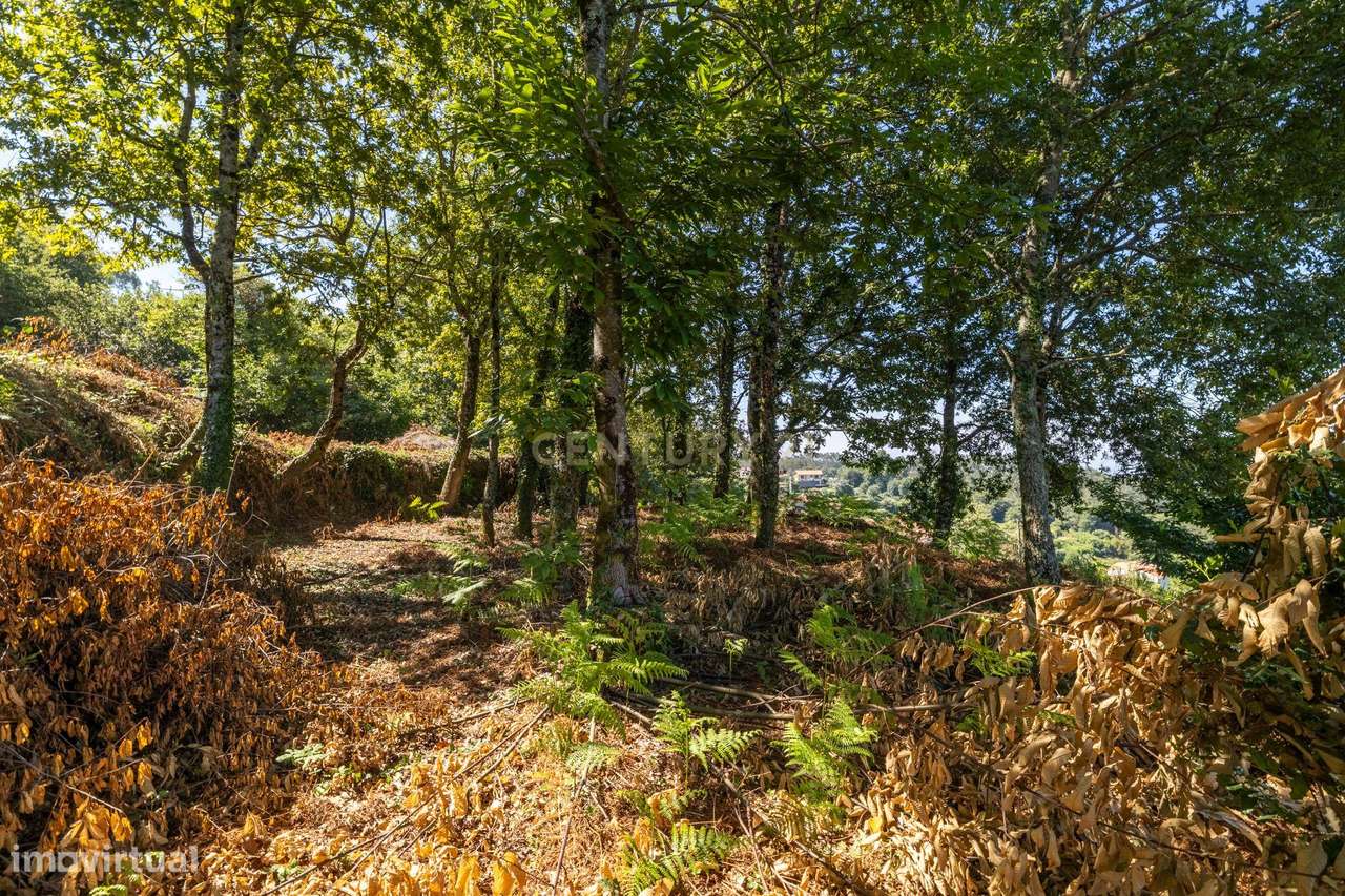 Moradia para Reabilitação com Terreno +1.000 m² | Vista sobre a Ria de-29