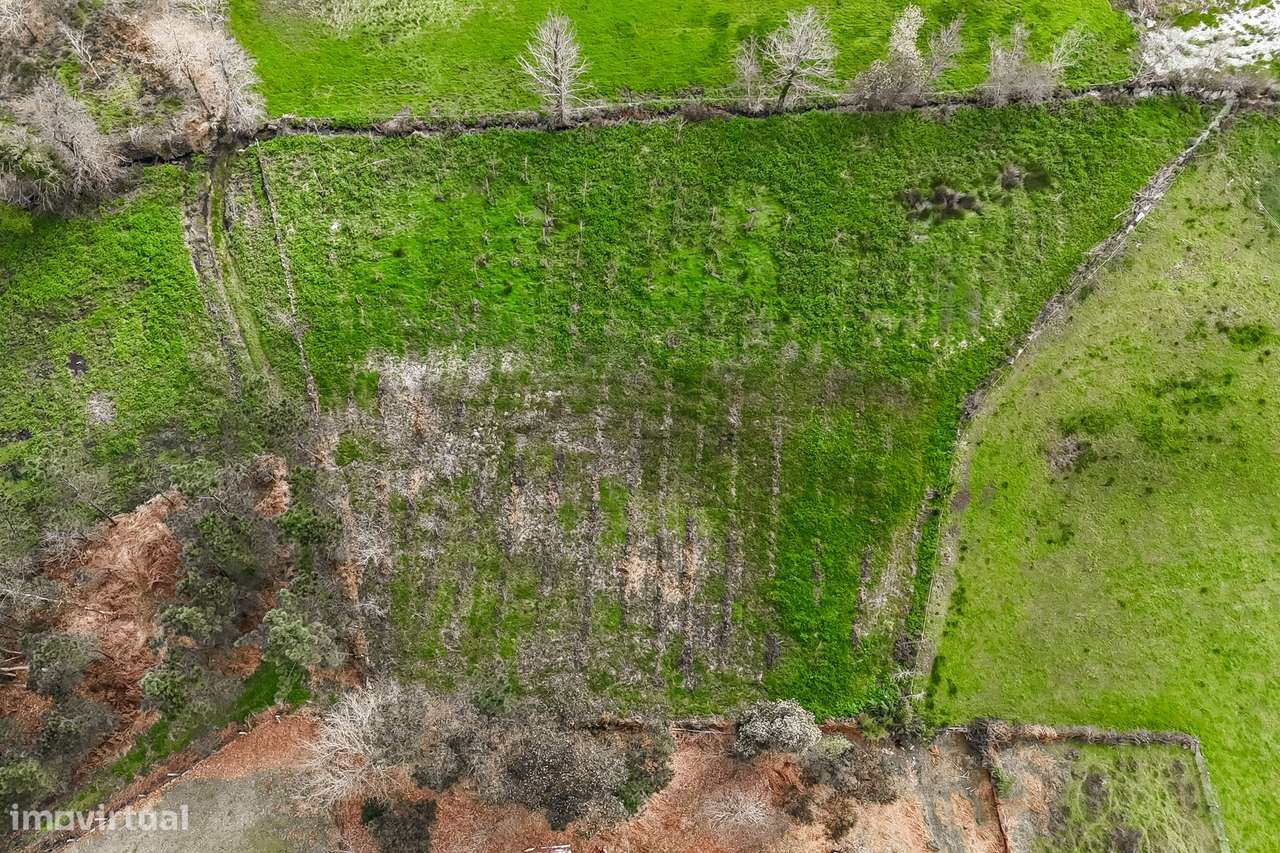 Terreno Rústico  Venda em Associação de freguesias do Vale do Neiva,Po-17