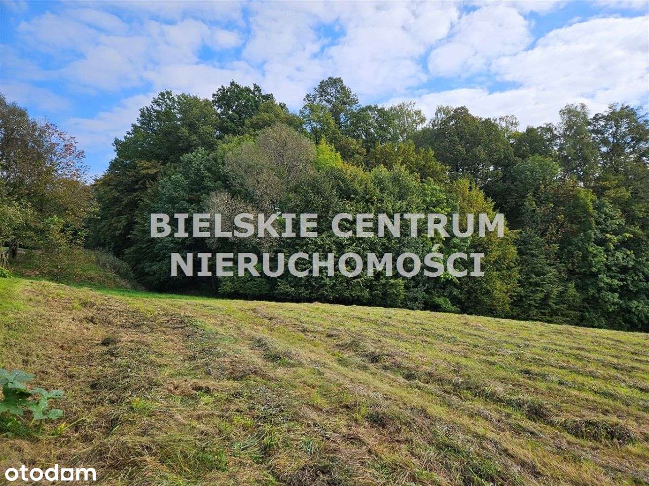 Działka, 13 942 m², Mazańcowice-5