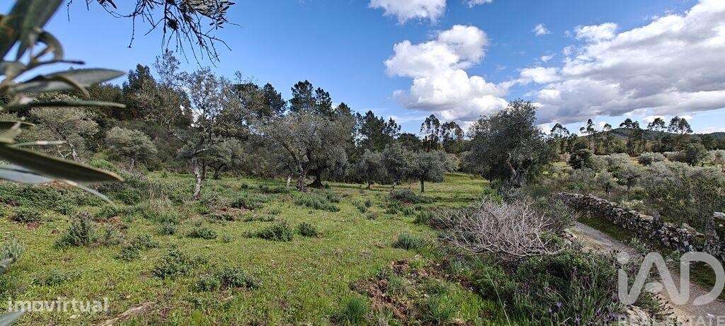 Terreno em Aranhas - Grande imagem: 2/2