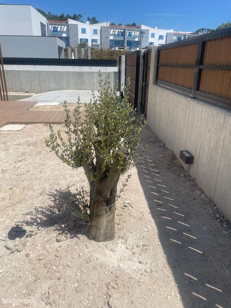Excelente oportunidade - Torres Vedras-25