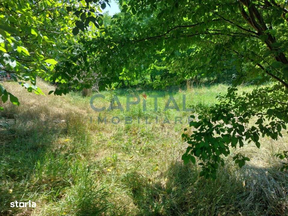 Teren intravilan construibil - Imagine principală: 4/6