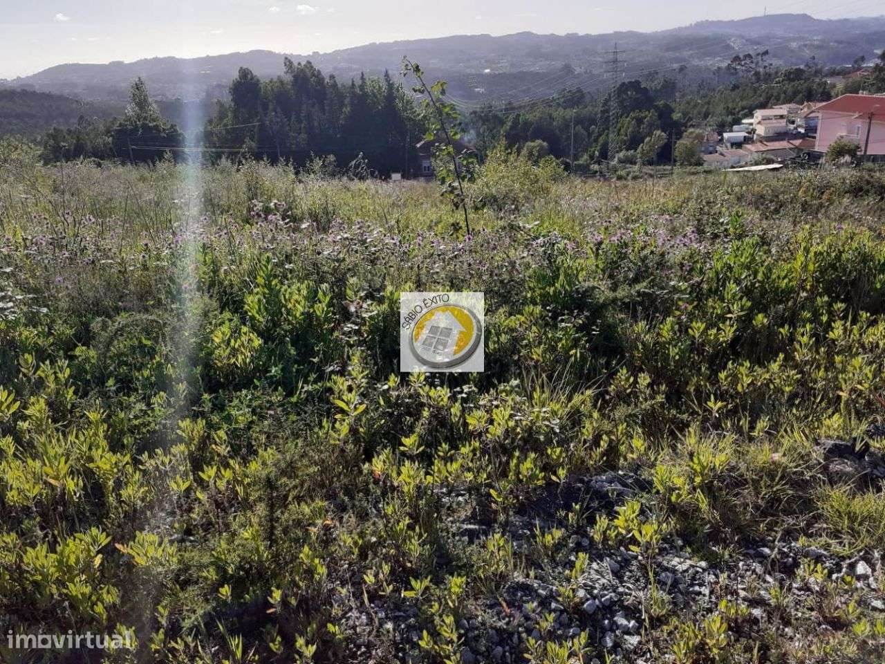 Vende-se Lotes Terreno em Olival - Grande imagem: 4/7