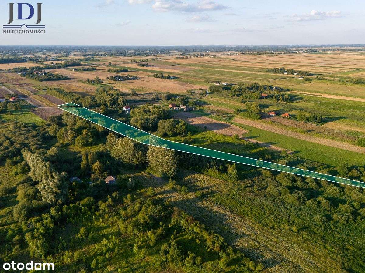 Działka.1.64 ha.Chojno Nowe Pierwsze.Lubelskie - Pełny obrazek: 5/6