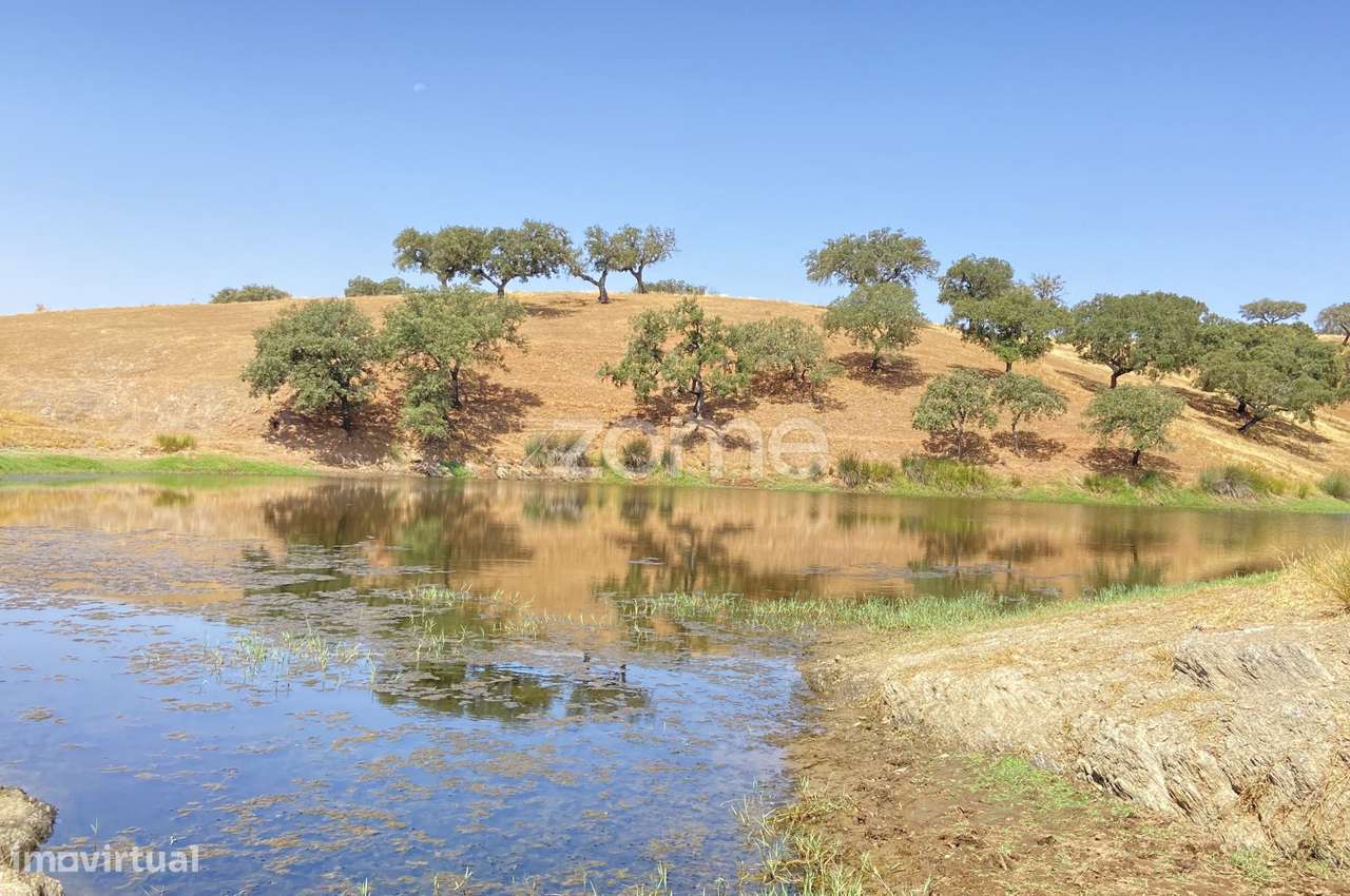 Herdade em Alentejo Beja Portugal - Grande imagem: 1/31